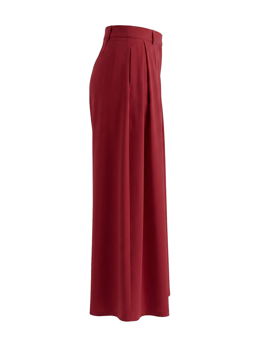 Wide-Leg Pleated Pants